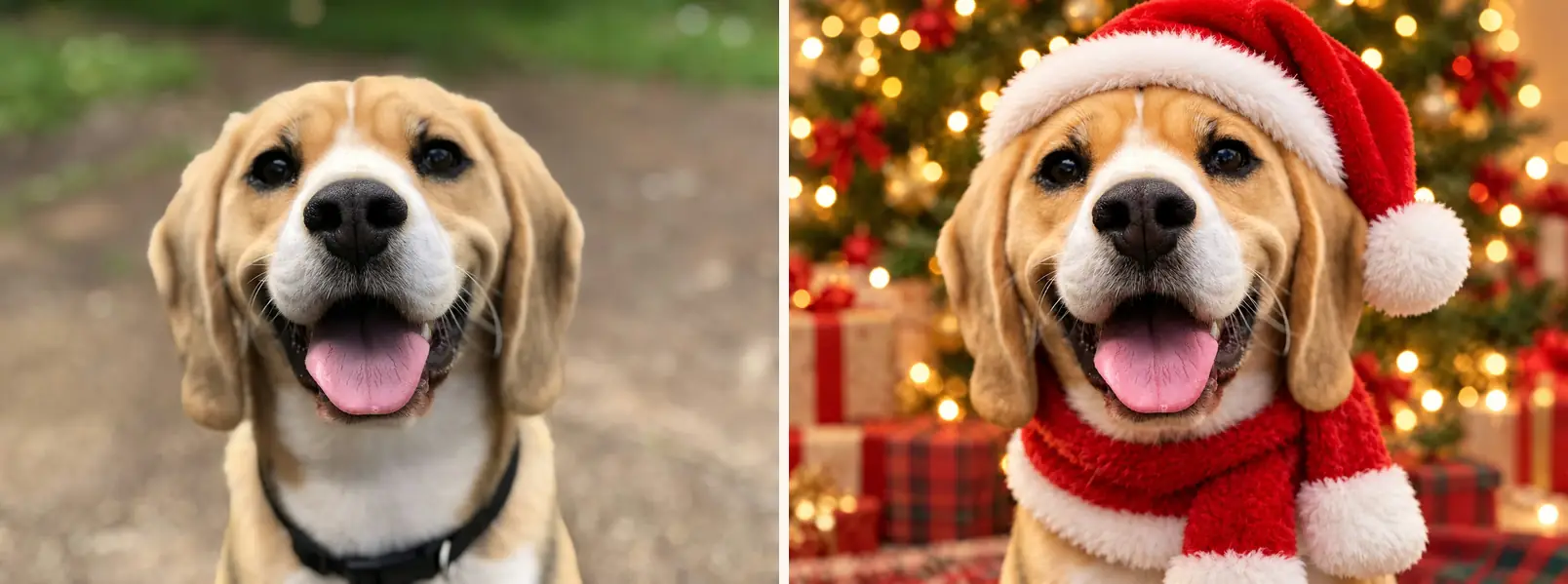 Before and after of the pet christmas ai photo prompt: a beagle outdoors transformed into a santa-hat portrait in front of a decorated tree