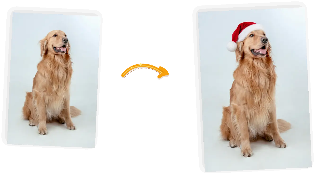 The hat: a red Santa hat added to a golden retriever, everything else unchanged.