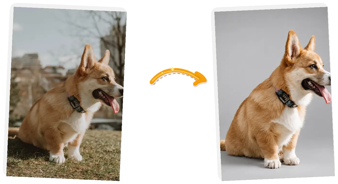 The corgi edit: the park background becomes a smooth gray studio backdrop while the dog and its pose stay